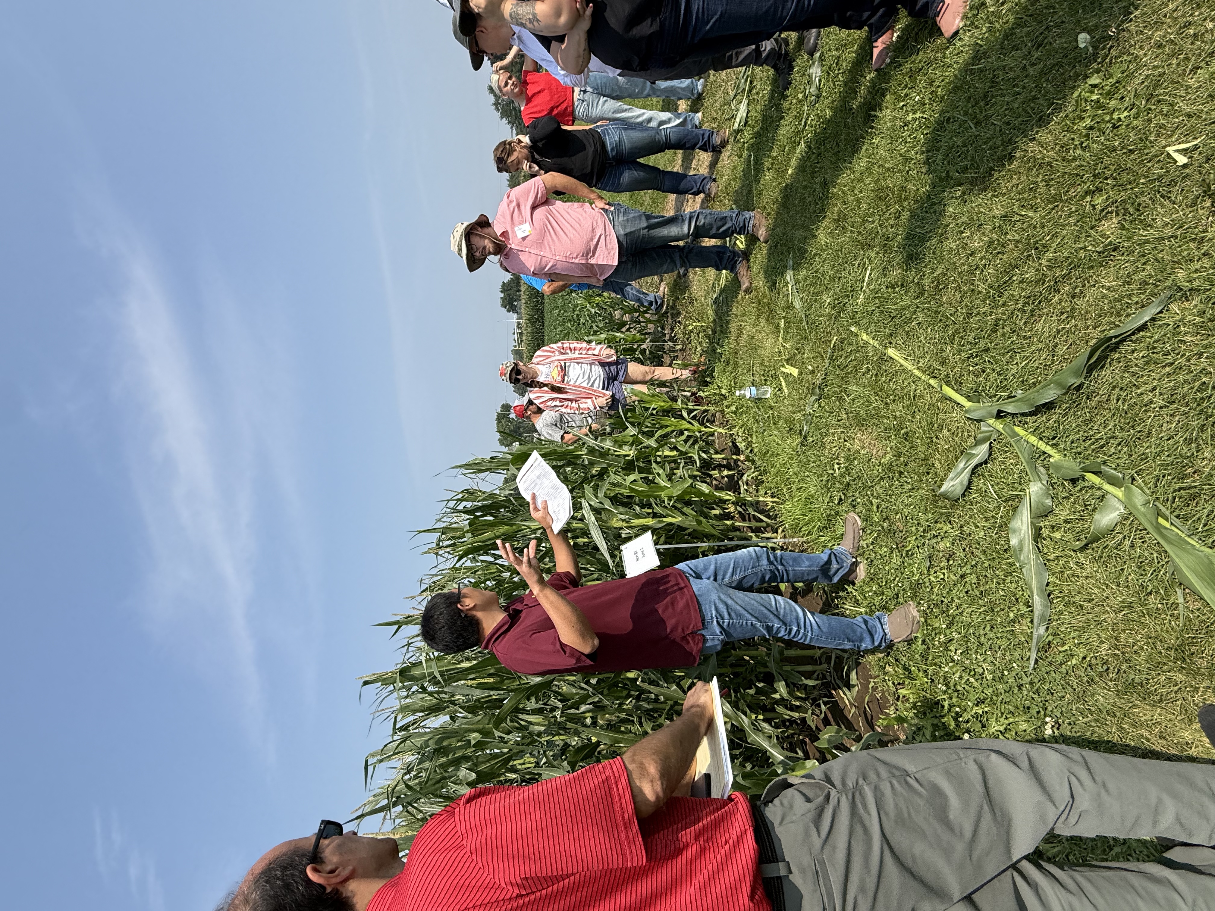 Field_School